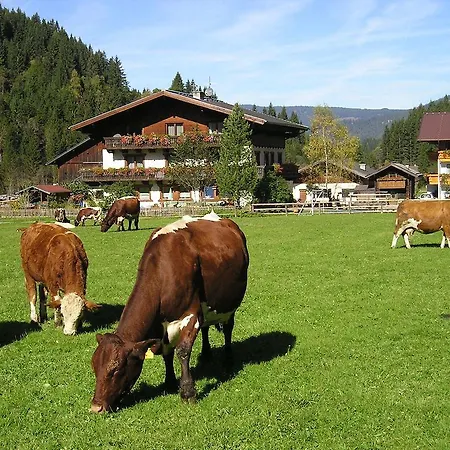 Alloggio per agriturismo Winklhuette Forstau (Salzburg)