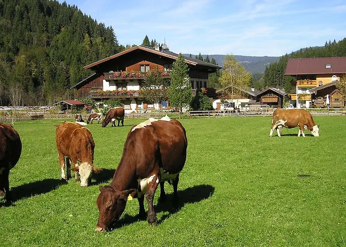 Farma Winklhuette Forstau (Salzburg)